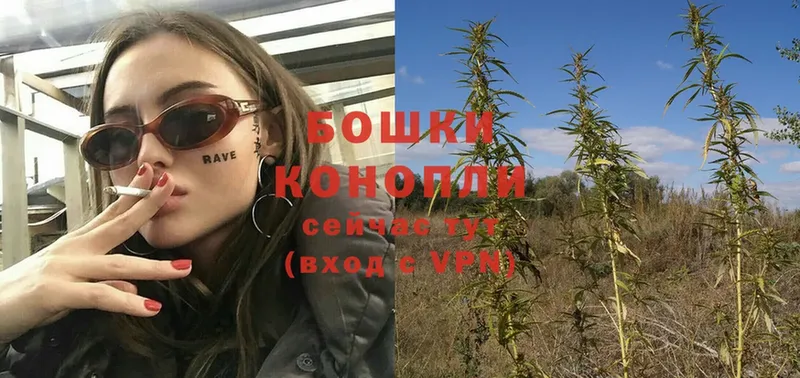 дарнет шоп  Балабаново  omg ССЫЛКА  Канабис SATIVA & INDICA 